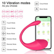 LoveSick Wireless Bluetooth Vibrator - Unlimited Range w/ Built In Phone App DDLGWorld