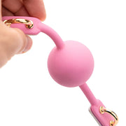 Pastel Iridescent Ball Gag DDLG World