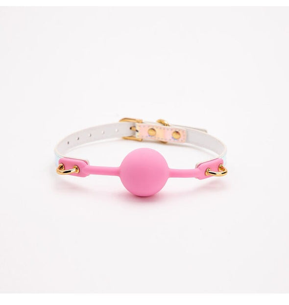 Pastel Iridescent Ball Gag DDLG World