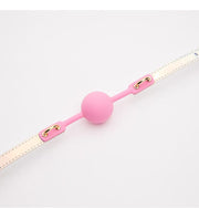 Pastel Iridescent Ball Gag DDLG World