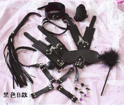 Sugar Baby 10 Piece BDSM Kit (Pink/Black) DDLGWorld bondage kit